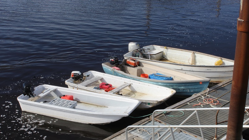 Harbor View in Milbridge, Maine!